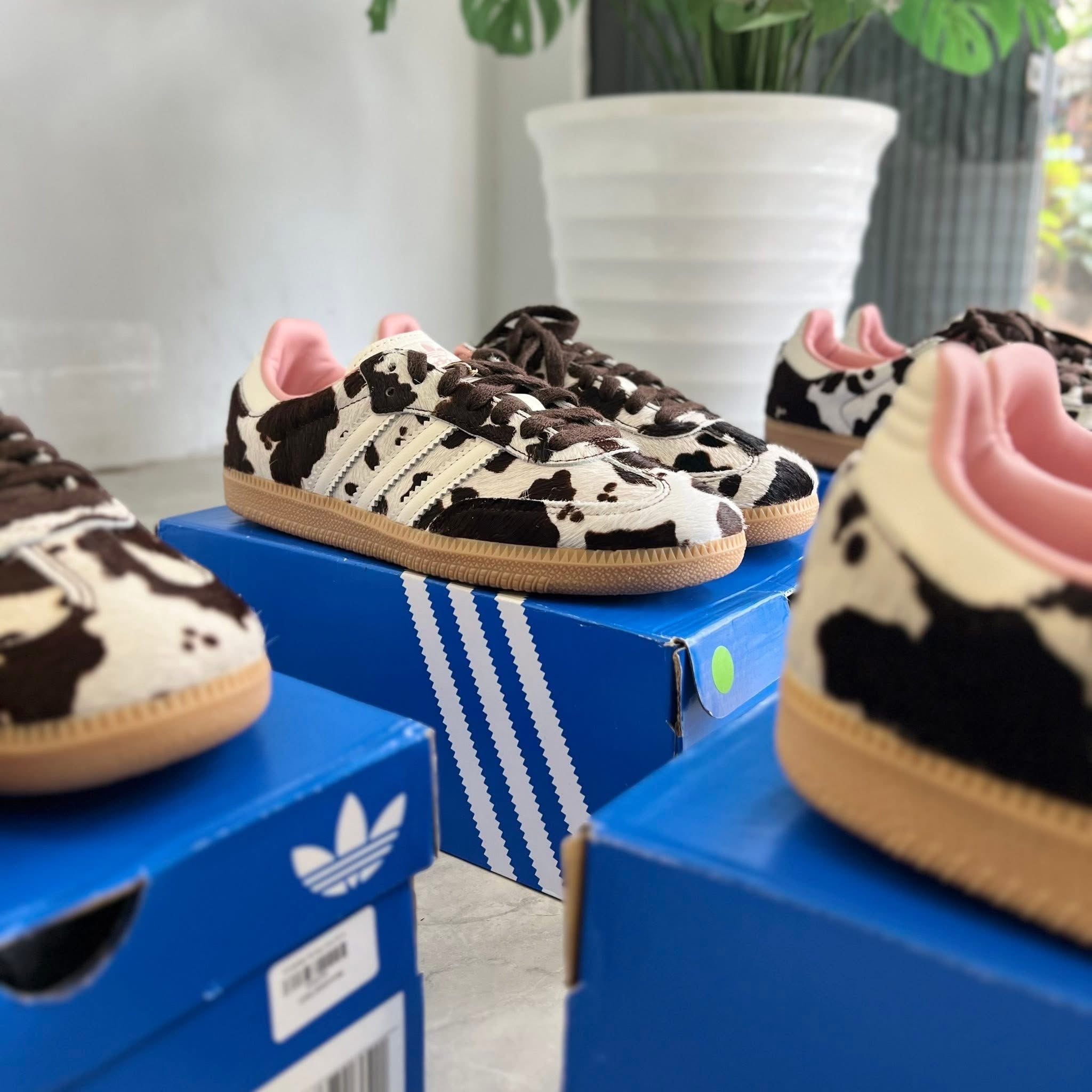 Adidas Samba OG Cow Print Women's