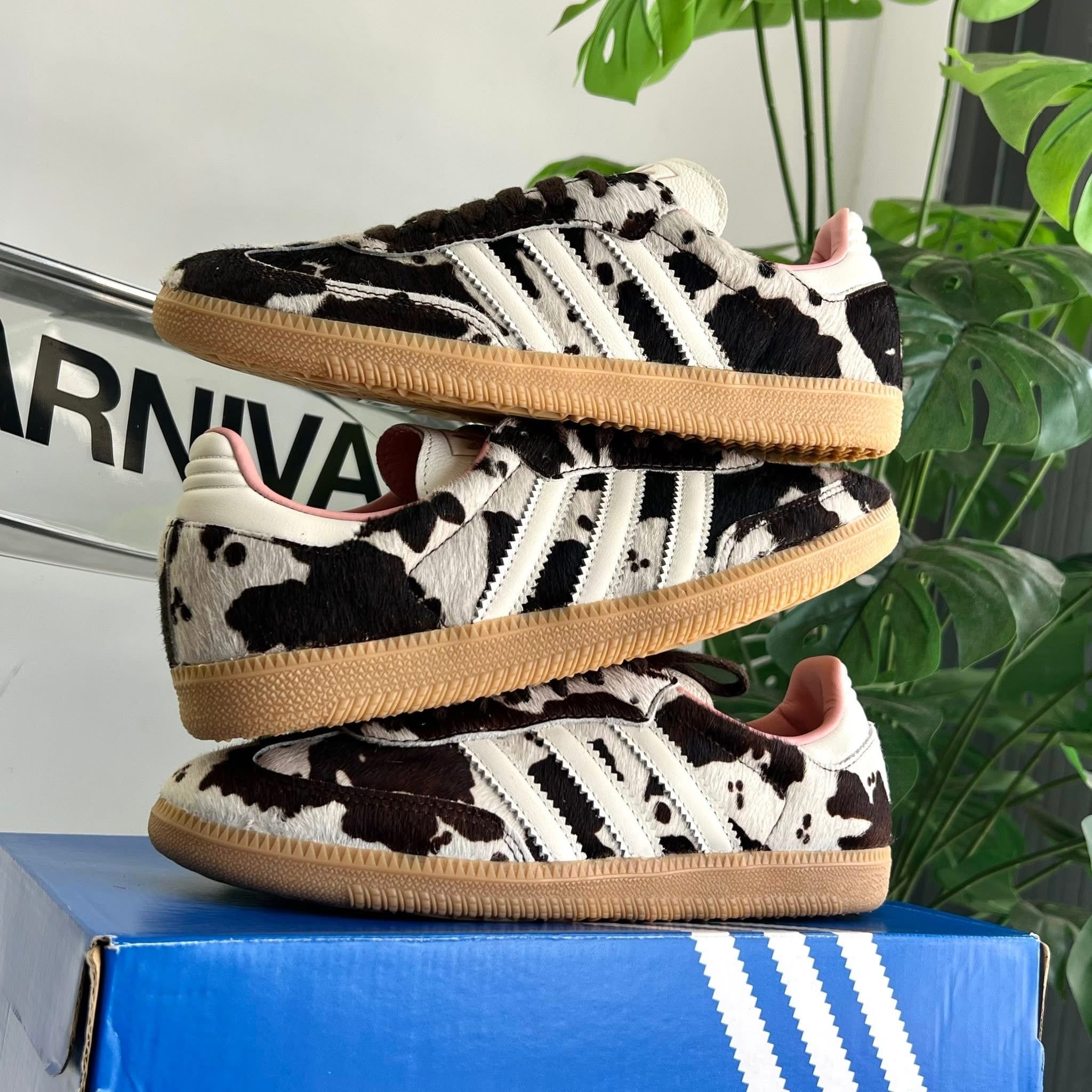 Adidas Samba OG Cow Print Women's